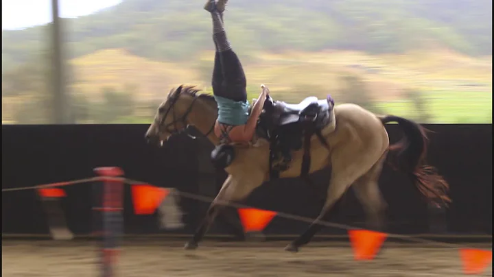 HLS TRICK RIDERS with Brandi Phillips