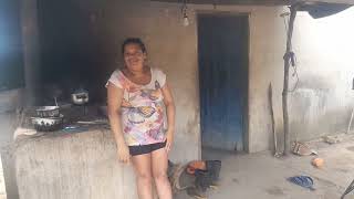 Mostrando Ninho Da Galinha