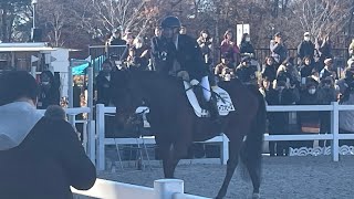 ブラストワンピースによる馬術競技披露2023年12月17日馬事公苑にて