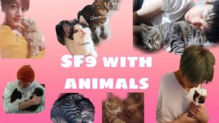 SF9 with animals