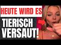 TIERISCH ANIMALISCH! VON versauten K&Uuml;HEN bis hin zu verwirrten OCHSEN! Blitzbirnen Parade Teil 17