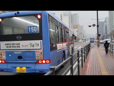 BYD E-BUS 11 버스 탑승기 