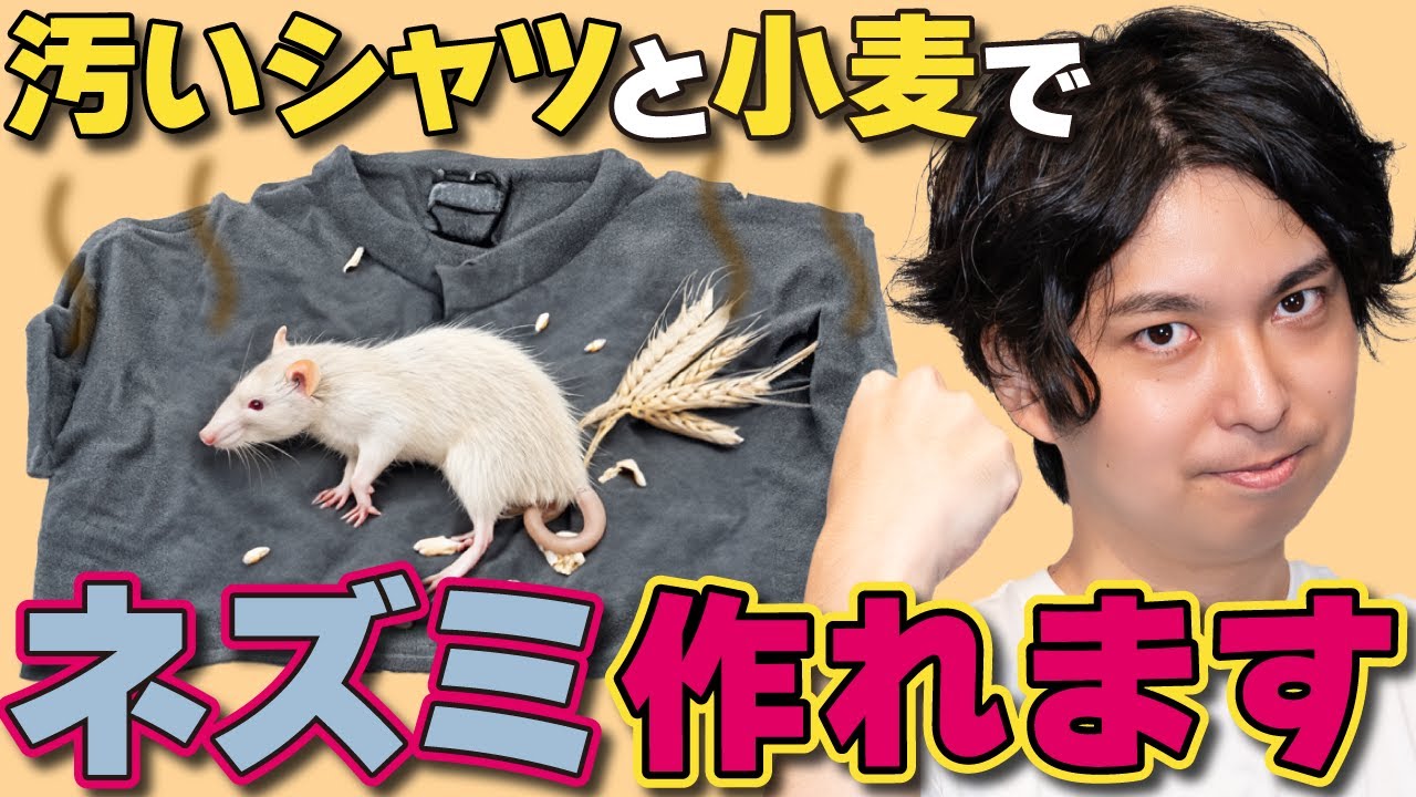 無からネズミを生み出す方法は「汚いシャツと小麦粉を混ぜる」【自然発生説1】#45