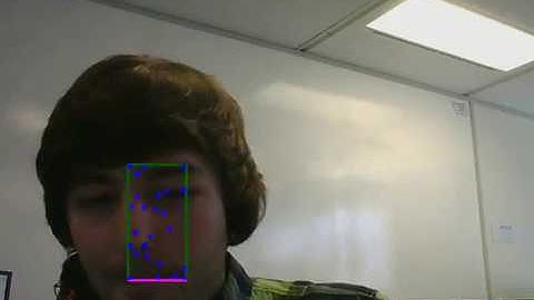 Feature Detection in a ROI - Real Time Video