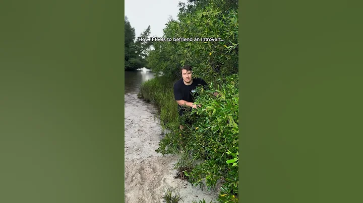 How it feels to befriend an introvert…😂 #theboys #viral #shorts #httyd