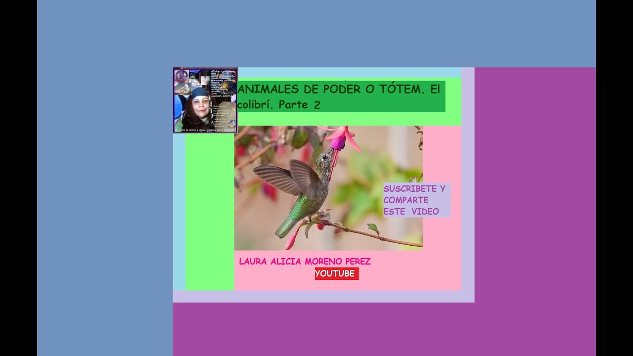 ANIMALES DE PODER O TÓTEM. El colibrí. Parte 2 - YouTube
