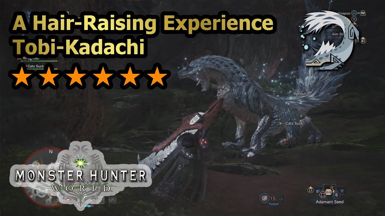 A Hair-Raising Experience (Tobi Kadachi)