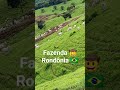 Fazenda em Rondônia.