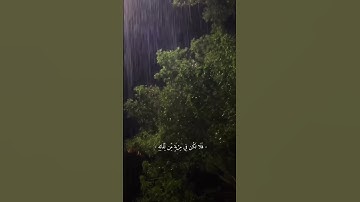 سوره { السجدة } القارئ #عبدالرحمن_مسعد