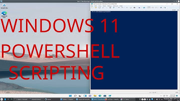 Windows 11 PowerShell Scripting