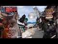 戦闘中をすることになった猫たちの日常Part6【猫ミーム】【猫マニ】