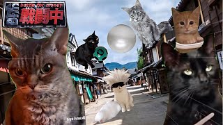 戦闘中をすることになった猫たちの日常Part6【猫ミーム】【猫マニ】