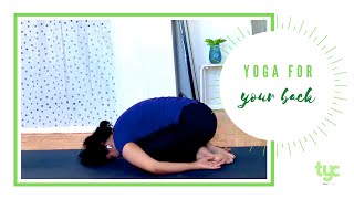 Yoga for your Back | 20 minute yoga practice | TYC