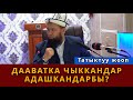 Дааватка чыккандар адашканбы? || Максатбек ажы Токтомушев мыкты жооп берди