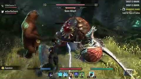 The Elder Scrolls Online - Sylvyrne and Aubryanna - Dungeon: Selene