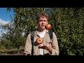 Apple Picking at Fireside Orchard