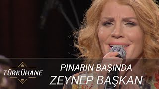 Türkühane I Zeynep Başkan - Pınarın Başında Resimi