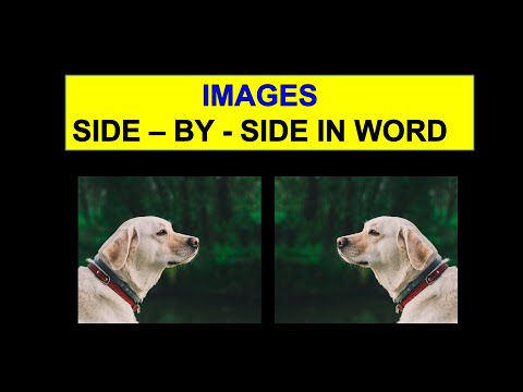 How To Insert Pictures in Word Side - by - Side - [ SOLVED ]