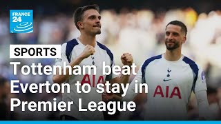 Premier League: Tottenham beat Everton to stay in top flight • FRANCE 24 English