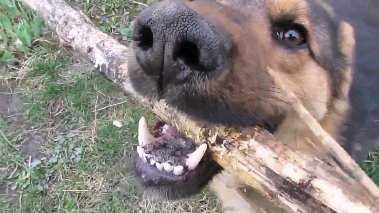 Любов без памяті