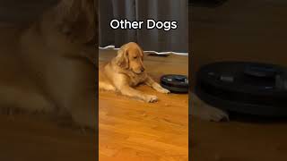 Other dogs tolerate the vacuum... My dog goes nuclear