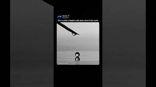 The Moment a Droplet Hits Water in Slow Motion