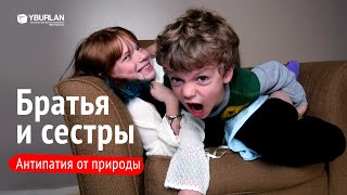 Почему братья и сестры не любят друг друга и как их сблизить? Психология детей