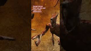 Dreugh Eat Their Own Skin & Organs After Adolescence
