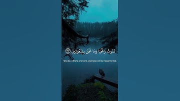 Surah Al Mu'minun (سورة المؤمنون) - ياسر الدوسري | Yasser Al Dosari