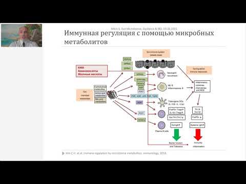 Ситкин С. И. "Микробиота, дисбиоз и ВЗК: причинно-следственная связь или корреляция?"