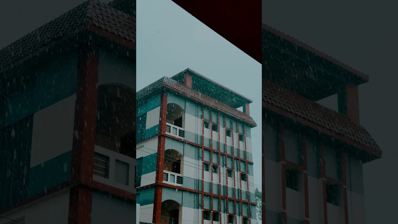 Rain reminds all things to grow 🌸 