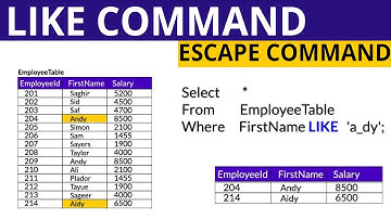 Sql LIKE command with Escape command HINDI