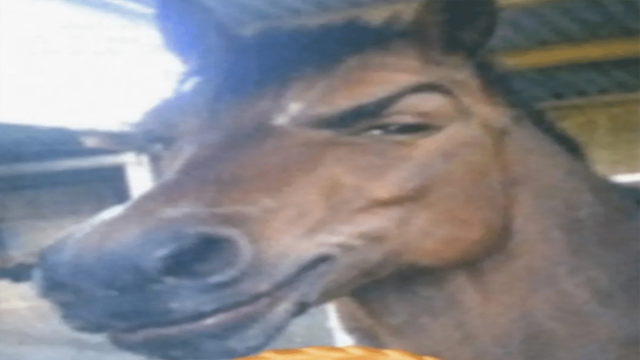 ȘTIȚI CE SE ÎNTÂMPLĂ AZI