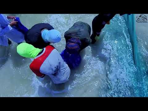 موسم الضواغي صيد السردين في ولاية طاقة محافظة ظفار سلطنة عمان 2021 10 19