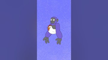 Im a Noob! #scarybaboon #vr #gtag