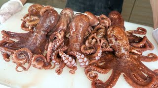 This is really delicious! Cheap and delicious octopus that not many people know about