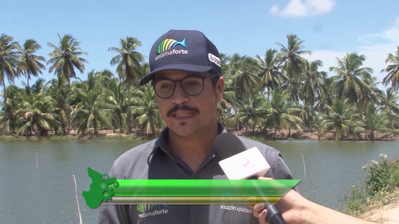 Sergipe Rural - PROGRAMA 191