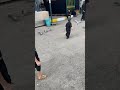 موعود الك العتبة الحسينية المقدسة العتبة العباسية المقدسة اكسبلور محرم كربلاء عاشوراء Karbala موعود الك العتبة الحسينية المقدسة العتبة العباسية المقدسة اكسبلور محرم كربلاء عاشوراء Karbala