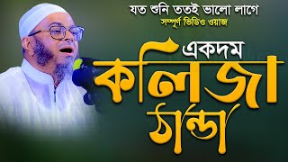 নাসির উদ্দিন আনসারী নতুন ওয়াজ mufti nasir uddin ansari new waz Full New Waz Bangla New Waz 2023