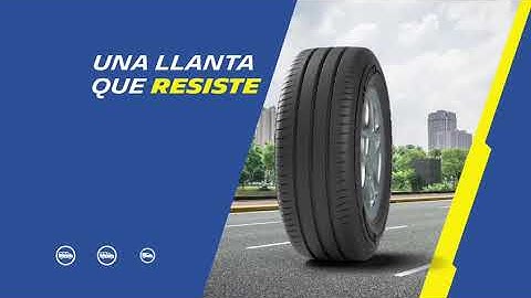 Michelin Agilis