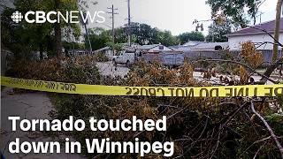 Storm researchers confirm EF-1 tornado touched down in south Winnipeg