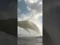 Whale in Indian ocean