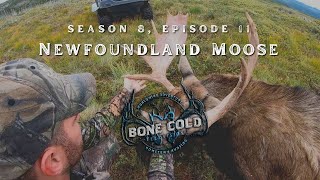 Season 8 Episode 11 Newfoundland Moose