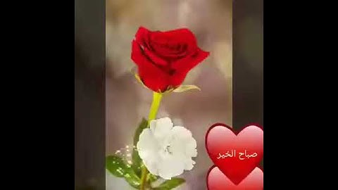 سوره الشرح __ صوت جميل