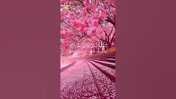 ﴿مَنْ خَشِيَ الرَّحْمَٰنَ بِالْغَيْبِ﴾من سورة ق، بصوت القارئ صلاح المصلى. #القرآن_الكريم