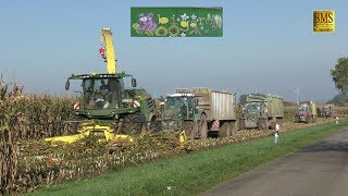 Großeinsatz Maishäckseln / 20 Fahrzeuge Biogasanlage biggest farmer corn harvest Maisernte LU Blunk