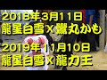 龍星白雪x鸞丸かも 2018.3.11 龍星白雪x龍力王 2019.11.10 【沖縄闘牛】