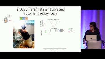 COSYNE 2020 - Session 7