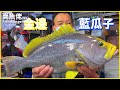 HKD1,200 金邊藍瓜子 Speckled Blue Grouper 5斤12兩【賣魚佬 OH! Seafood HK】｜西環魚王