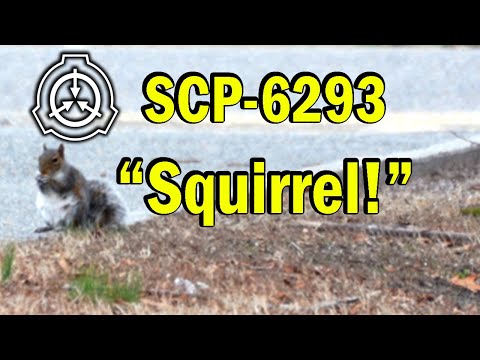 SCP-2074 Sinkbait Safe [SCP Document Reading] 